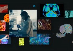 Google Research Unveils Advanced AI Innovations Aimed at Global Challenges