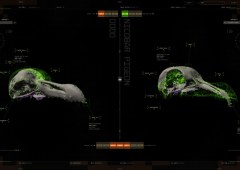 Colossal Biosciences paziņo par GenoMorph AI platformu izmiršanas pētniecības attīstībai