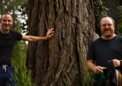 Electric Plant Develops AI Model to Translate Electrical Signals from Plants