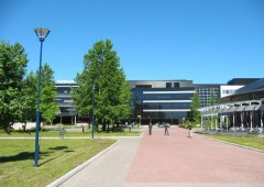 Nokia steigert KI- und Cloud-Verkäufe um 123 % und treibt KI-gesteuertes RAN mit Nvidia voran