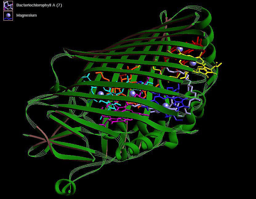 AI Advances Enable Natural Language Protein and Genome Design Tools