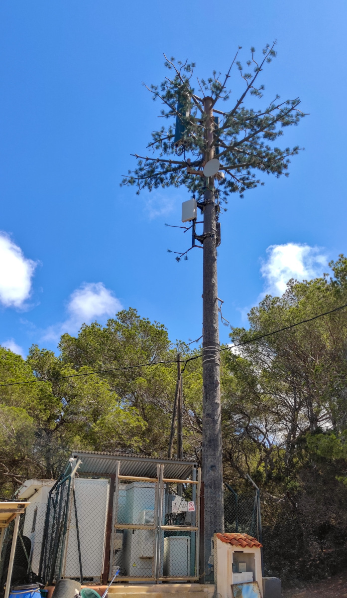 Vodafone Orange and Movistar base station camouflaged as pine on Formentera.