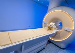 New Study Reveals Structured Brain Activity Under Psilocybin Amid 'Chaotic' Psychedelic Effects