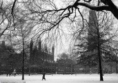 Investigadores de Yale Revelan Sesgos Raciales y de Género Ocultos en Modelos de IA para Contratación a Pesar de un Lenguaje Neutral